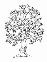 Coloring Tree Pages Oak Peach Drawing Inchworm Life Family Flower Adults Colouring Color Printable Complicated Getcolorings Getdrawings Trees Print Adult sketch template