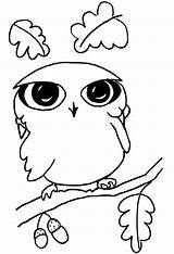 Owl Coloring Little Funny Pages Printable Burrowing Drawing Color Kids sketch template
