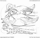 Duck Swimming Wood Coloring Pair Clipart Vector Outlined Cartoon Clipartof Picsburg 98kb 1024px 1080 sketch template