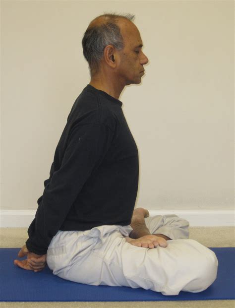 yoga mudra yoga seal yoga with subhash