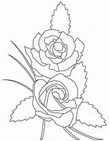 Coloring Pages Rose Beautiful Advertisement Girls sketch template