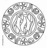 Mandala Delphin Mandalas Hellokids Dolphins Ausmalbilder Ilw sketch template