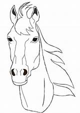 Horse Face Coloring Drawing Pages Head Horses Benscoloringpages Color Print Printable Heads Draw Faces Drawings Colouring Animals Coloringpages Simple Getdrawings sketch template