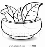 Mortar Pestle Vector Lineart Leaves Illustration Royalty Clipart Lal Perera sketch template