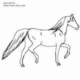 Mare Arabian Coloring Pages Prancing Color Horse Index Own sketch template
