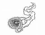 Sea Lamprey Coloring Pages Animals Color Animal Drawings Print Back sketch template