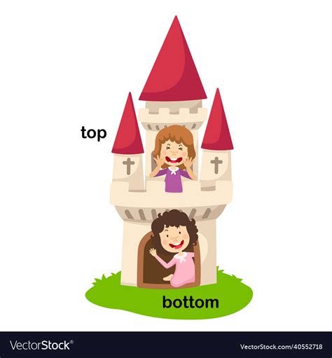 words bottom  top royalty  vector image