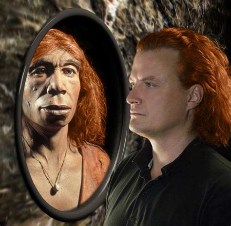 dna evidence neanderthals had sex with humans live science