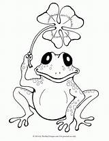 Coloring Frog Printable Sheets sketch template