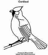 Cardinal Coloring Pages Cardinals Red Flying Logo Bird Drawing Getdrawings Northern Louis St Printable Getcolorings Line Color Colorings sketch template