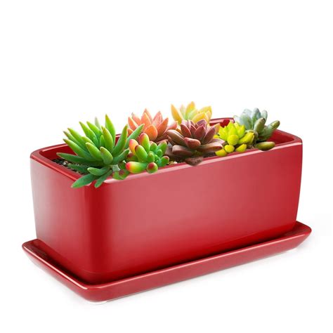 rectangular ceramic succulent planter pot cactus herb flower