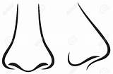 Nose Cartoon Clipart Human Drawing Google Clip Noses Bd Drawings sketch template