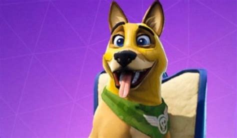 epic apologizes  selling   fortnite dog
