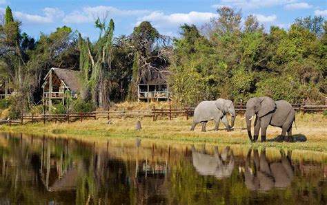 Savuti And Chobe National Park Africa Destination Micato Safaris