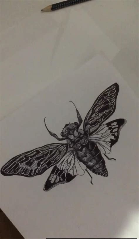 insects art video   insect art drawings pencil drawings