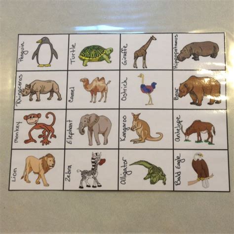 zoo animal bingo cards     print    internet