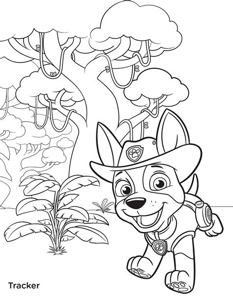 tracker everest paw patrol coloring pages find  coloring pages