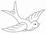 Swallow Coloring Bird sketch template