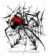 Redback Spiders sketch template