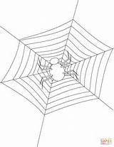 Coloring Spider Making Web Its Pages Halloween Spiders sketch template