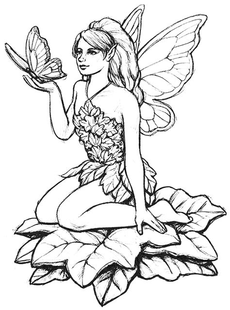 fairy  butterfly myths legends adult coloring pages