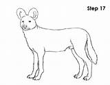 Dog Wild African Draw Coloring Drawing Step Getcolorings Line sketch template