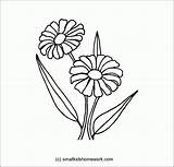 Outline Flower Flowers Drawing Coloring Daisy Zinnia Popular Getdrawings Coloringhome sketch template