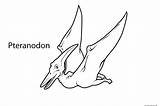 Pteranodon Colorir Freekidscoloringpage Dinosaurios Brontosaurus sketch template