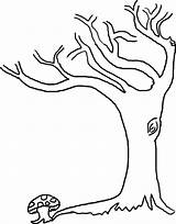 Tree Leafless Outline Cliparts Printable Coloring Leaves Without Bare sketch template