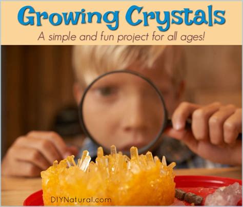 growing crystals  great project  learning experience  kids
