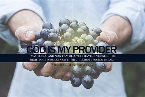 god   provider believersevercom