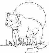 Planet Animal Coloring Pages Getcolorings sketch template