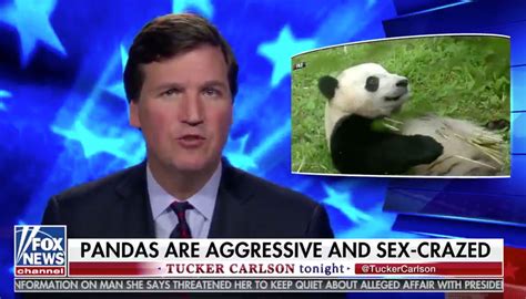 Fox News Tucker Carlson Reports On Sex Crazed Pandas