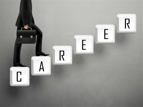 choosing  career field careers  government