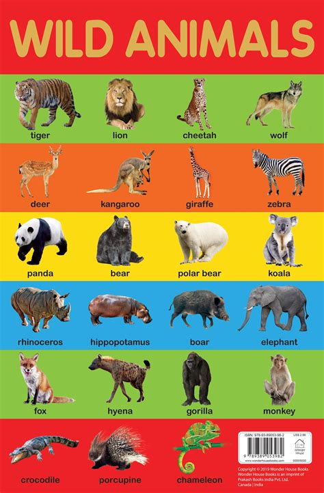 buy wild animals chart early learning educational chart  kids