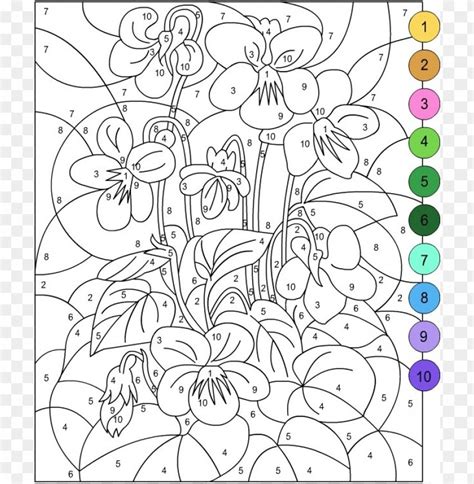 color  number adult coloring sheets