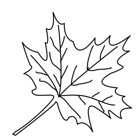 pics  tree leaves coloring page