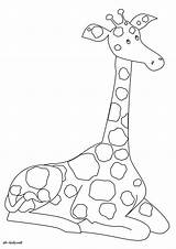 Girafe Coloriage Imprimer Greatestcoloringbook sketch template