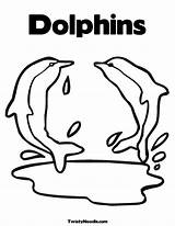 Dolphins Delphine Coloringhome sketch template
