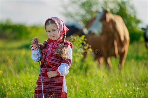 Girl Tending Cows Stock Image Image Of Landscape Farm 74094033