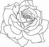 Petals Rose Drawing Getdrawings Coloring Pages sketch template