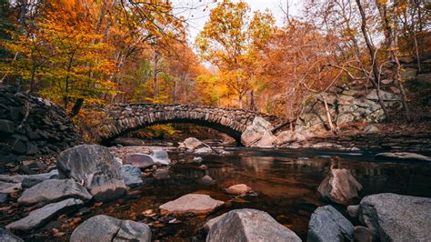 fall colors  rock creek park dc foliage guide