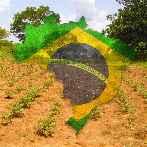 Impactos Ambientais No Brasil Quais As Consequências E Como Reduzi Los
