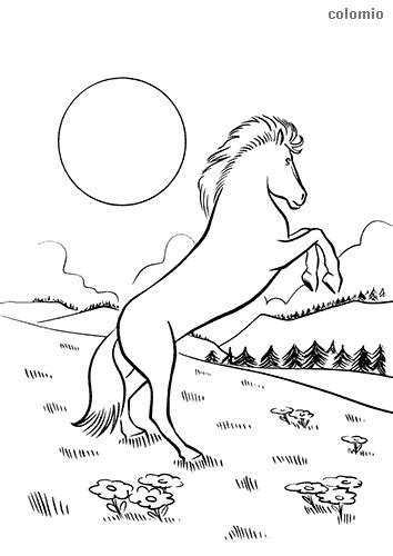 horses coloring pages  printable horse coloring sheets page