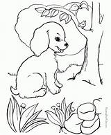 Coloring Pages Dogs Printable Print sketch template