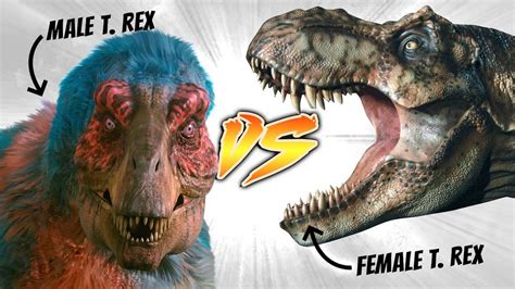 Male T Rex Vs Female T Rex [who Would Win] Youtube