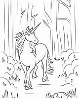 Unicorn Coloring Pages Adults Elegant sketch template