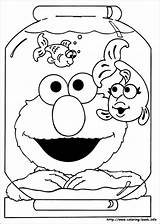 Coloring Elmo Pages Printable Print sketch template