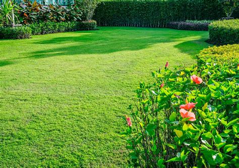 Spring Lawn Care Tips To Bring Your Lawn Back To Life Best Pick Reports