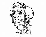 Paw Patrol Coloring Pages Skye Sky Clipart Drawing Zuma Marshall Color Printable Print Line Getcolorings Clipartmag Library Colo Comments sketch template